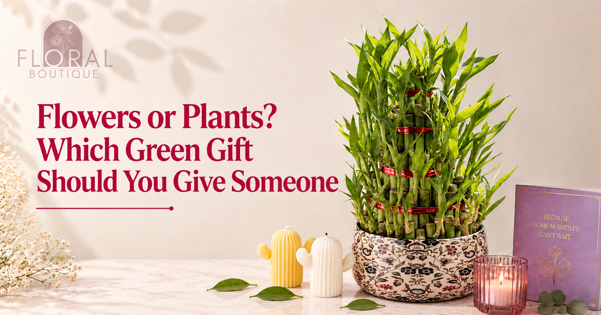 Flowers or Plants? Choosing the Right Green Gift for Someone in Bangalore