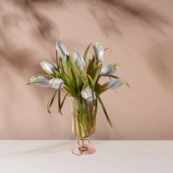 10 Tulip Flowers with Glass Vase (Available in All colors)