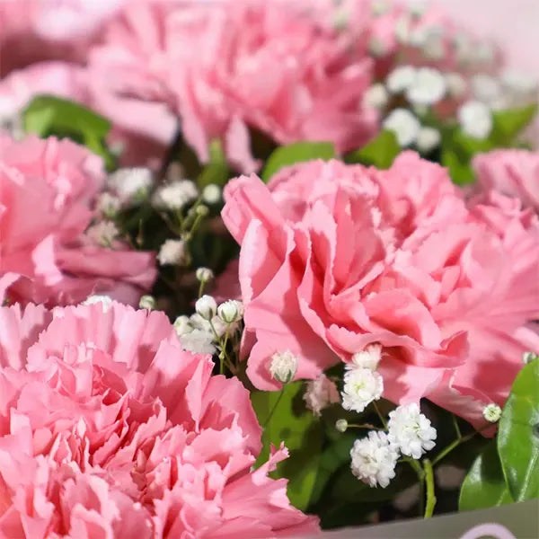 15 pink carnations bouquet with gypsophila close up view 3