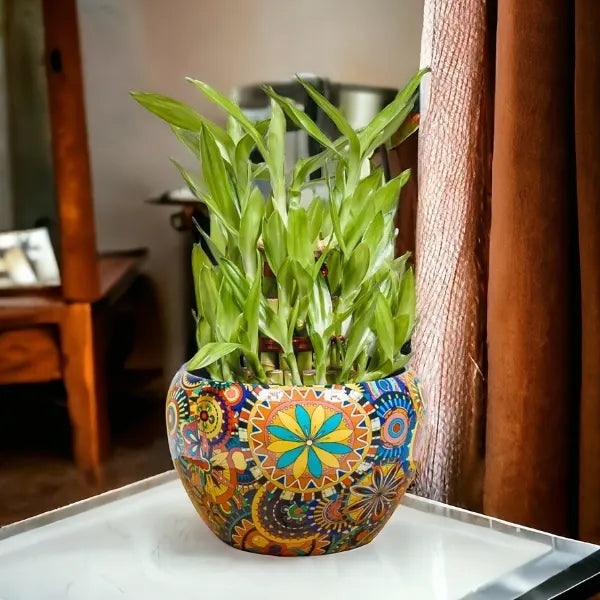 three layer lucky bamboo plant Buy 3-Layer Lucky Bamboo Plant in Designer Metal Rajwadi Pot