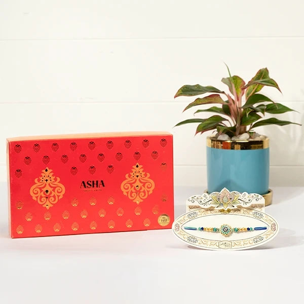 aqua jewel rakhi hamper with asha sweet mix aglaonema in blue pot front view