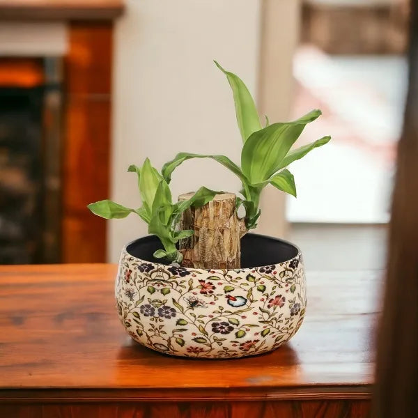 brazilian wood lucky bamboo in a floral printed metal pot front view