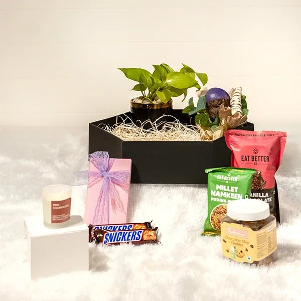 elegant hamper featuring gourmet snacks rich chocolates and a stylish pot front view