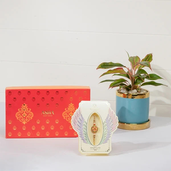 divine chakra rakhi hamper with asha sweet mix aglaonema in blue pot front view