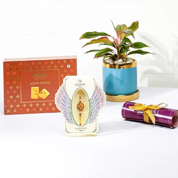 divine chakra rakhi hamper with soan papdi aglaonema in blue ceramic pot front view