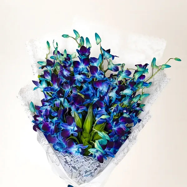 orchid bouquet with white wrapping and ribbon featuring with jamaica front view 2