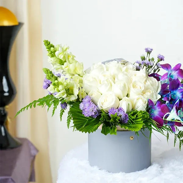 orchids in a grey box close up view