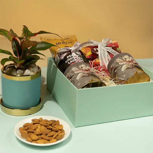 gift hamper of aglaonema pink diamond plant with eat better snacks and dry flowers top view 2
