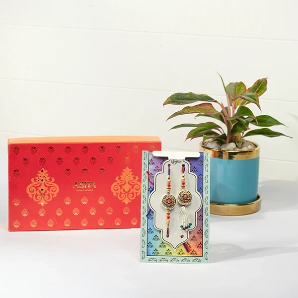 rajasthani rakhi lumba hamper with asha sweet mix aglaonema in blue pot front view