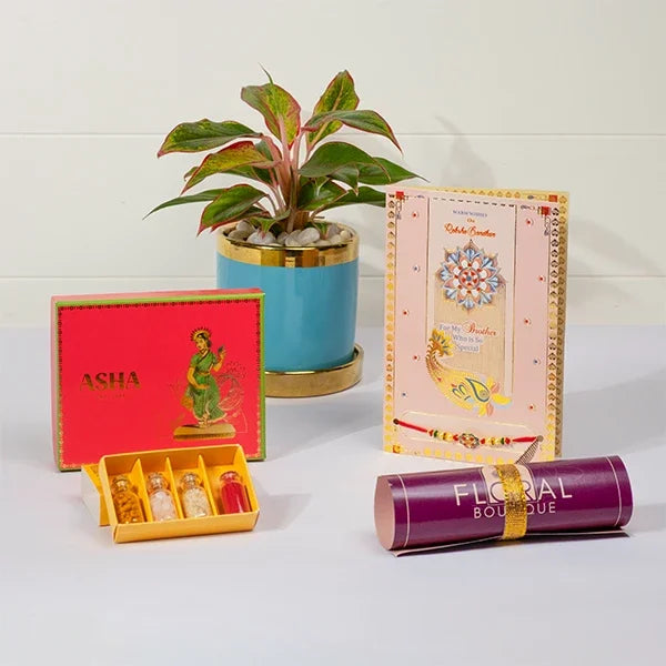 rakhi greeting card set with asha sweets with aglaonema plant front view