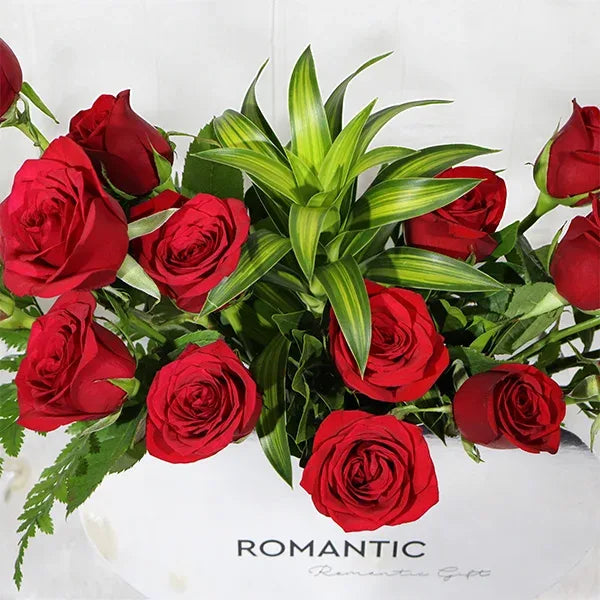 20 red roses in a heart shape box close up view