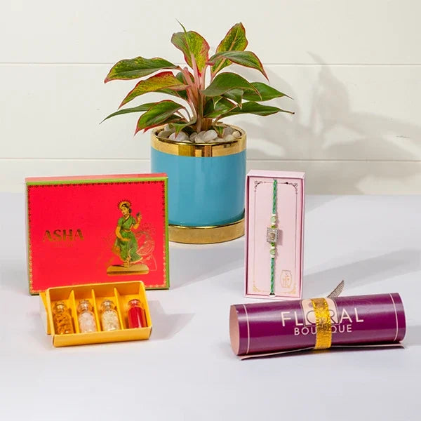 sparkling rakhi gift american diamond rakhi asha mix sweets aglaonema plant front view