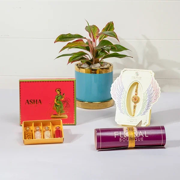 spiritual rakhi gift divine chakra rakhi asha mix sweets and aglaonema plant front view