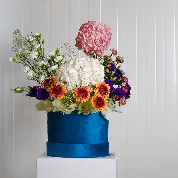 floral box with hydrangeas carnations and gerberas in a blue velvet base front view