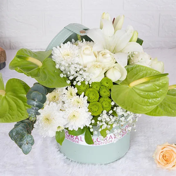 white roses green anthuriums white asiatic lily in light green box front view 2