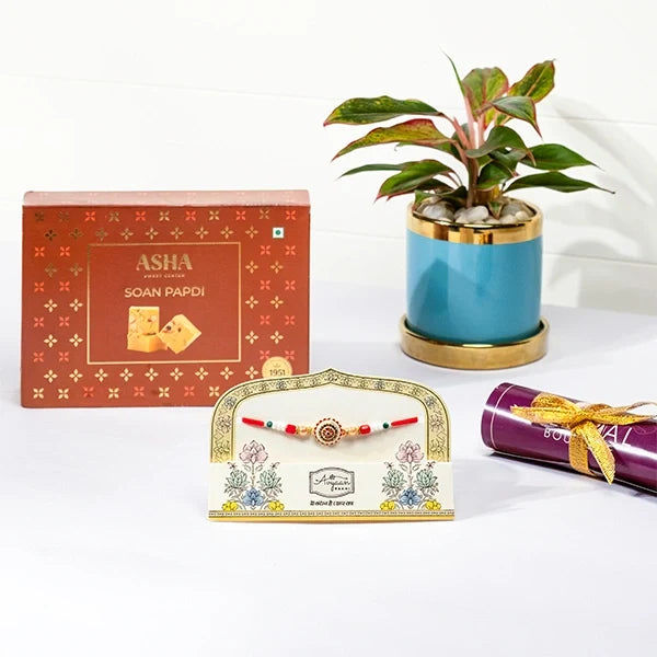 vibrant medallion rakhi hamper with soan papdi aglaonema in blue ceramic pot front view