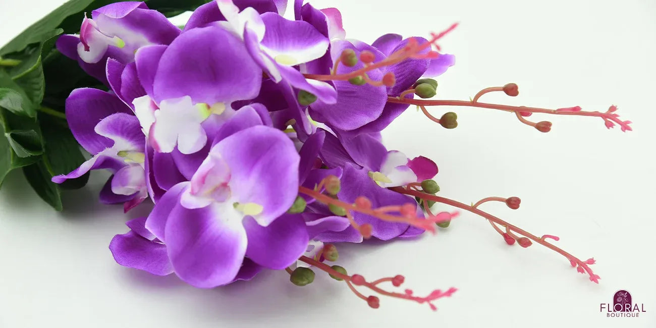 Stop Losing Buds! A Guide to Healthy Orchid Blooming