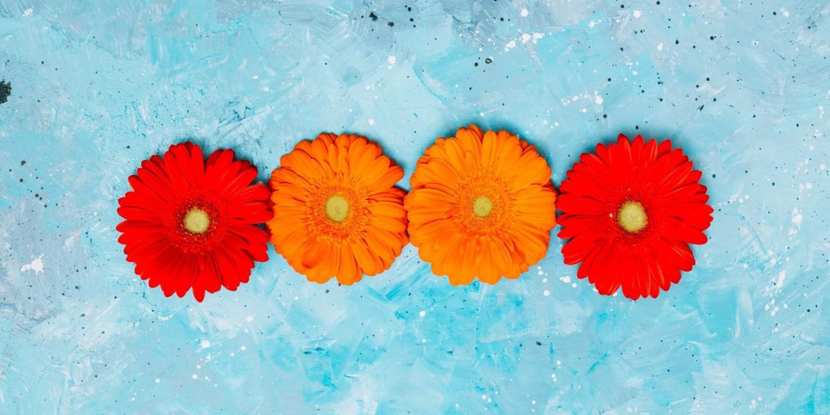 Seasonal Flowers: A Guide to Year-Round Blooms