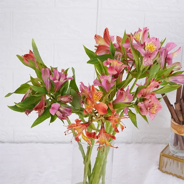 10 alstroemeria in long glass jar top view 2