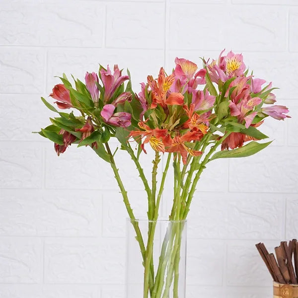 10 alstroemeria in long glass jar close up view