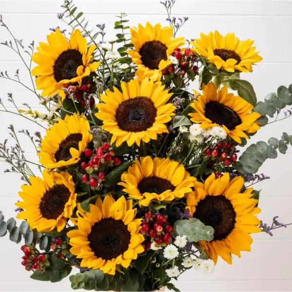 10 sunflower with red berry in golden glass vase close up view