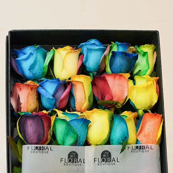 15 rainbow roses in black luxury box closeup view
