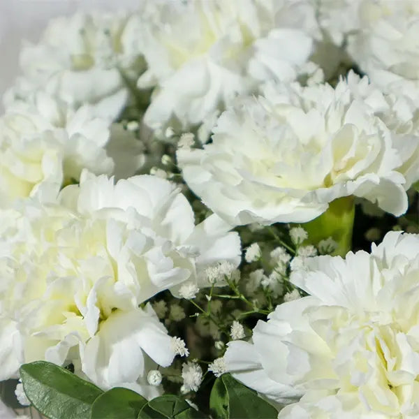 15 white carnations bouquet with gypsophila close up view 3
