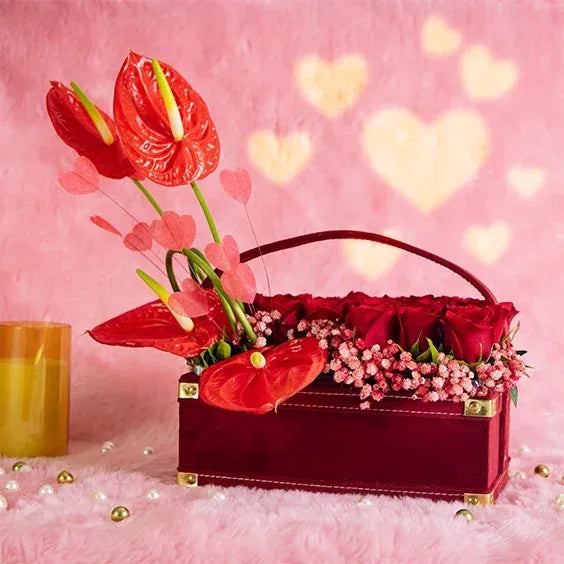 22 red roses with 4 anthurium in maroon square box front view
