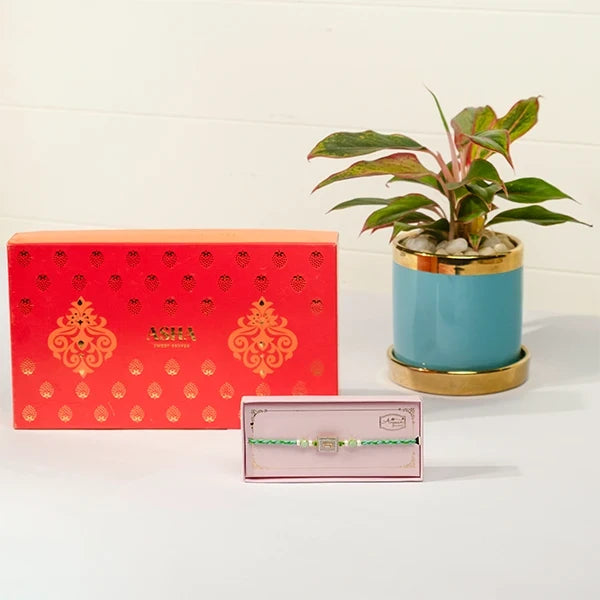 american diamond rakhi hamper with asha sweet mix aglaonema in blue pot front view