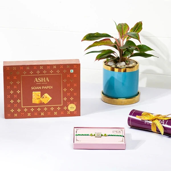 american diamond rakhi hamper with soan papdi aglaonema in blue ceramic pot front view