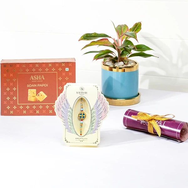 aqua divine rakhi hamper with soan papdi aglaonema in blue ceramic pot front view