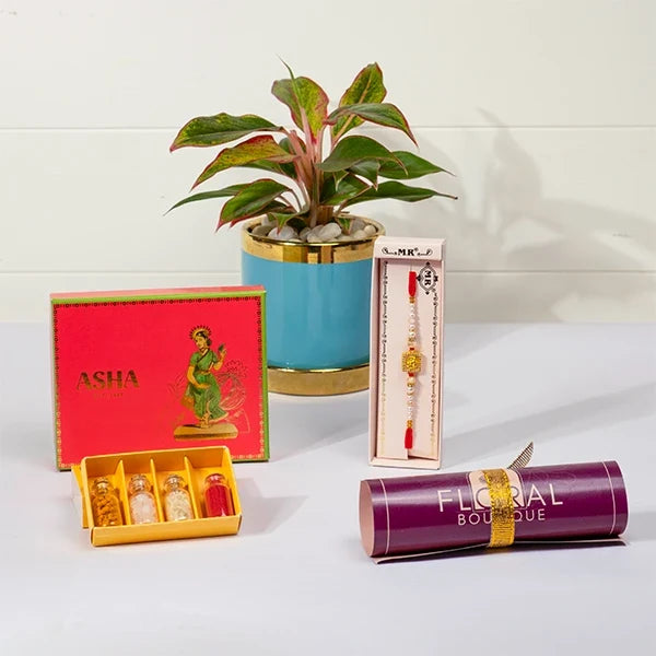 divine rakhi gift golden ganpati rakhi asha mix sweets aglaonema plant front view