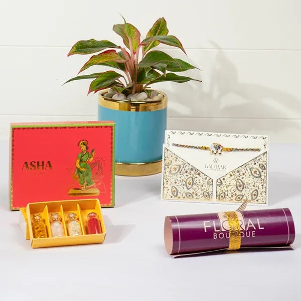 fortune freshness rakhi gift lucky elephant rakhi