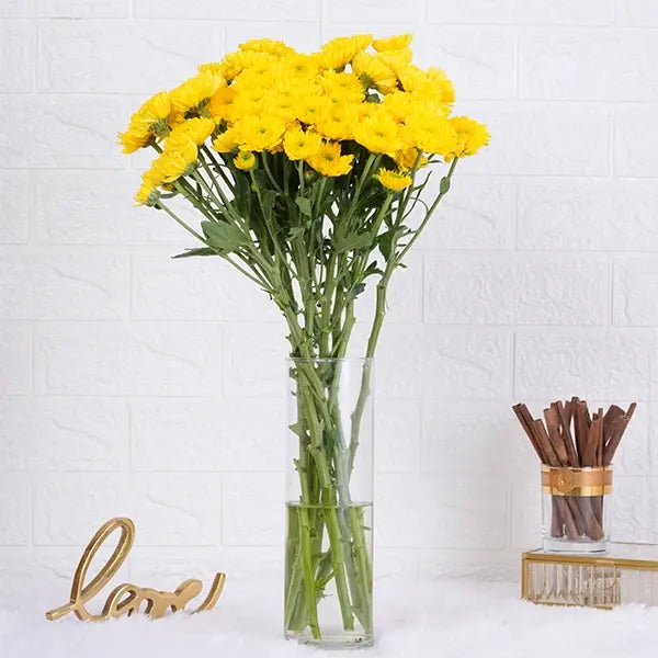 6 yellow chrysanthemums in long glass jar front view