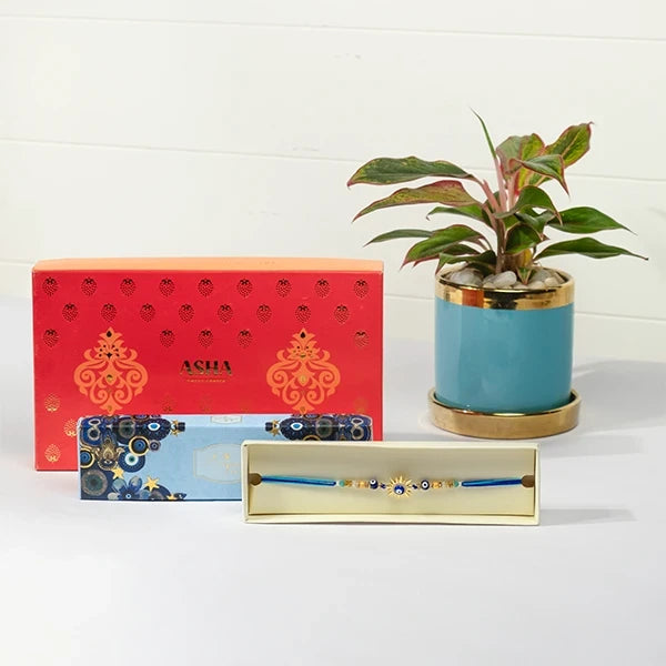 golden evil eye rakhi hamper with asha sweet mix aglaonema in blue pot front view