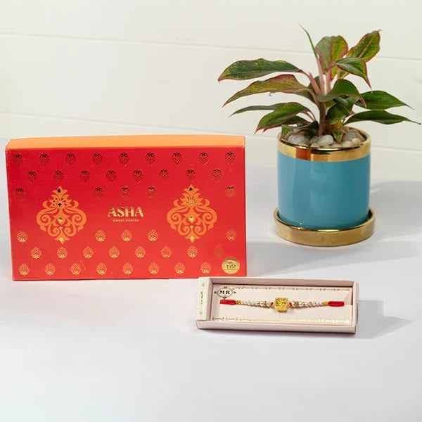 golden ganpati rakhi hamper with asha sweet mix aglaonema in blue pot front view