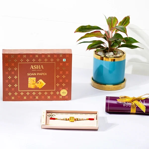 golden ganpati rakhi hamper with soan papdi aglaonema in blue pot front view
