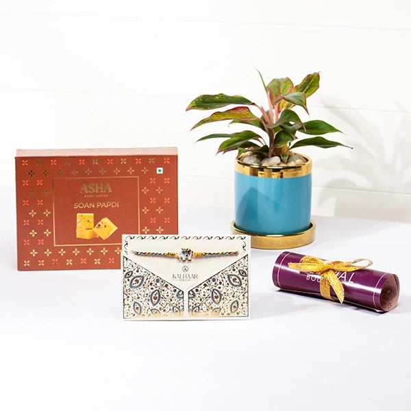 lucky elephant rakhi hamper with soan papdi aglaonema in blue ceramic pot front view