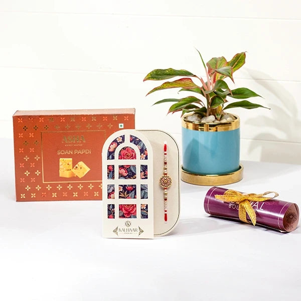 ornate bloom rakhi hamper with soan papdi aglaonema in blue ceramic pot front view