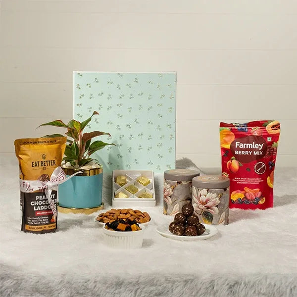 gift hamper of aglaonema pink diamond plant with eat better snacks and dry flowers top view