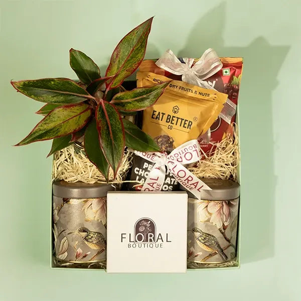 gift hamper of aglaonema pink diamond plant with eat better snacks and dry flowers front view 2