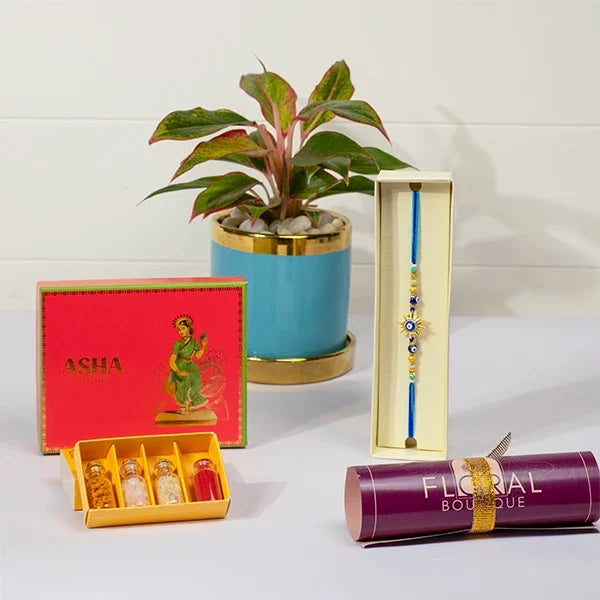 protective rakhi gift golden evil eye sun rakhi asha mix sweets aglaonema plant front view