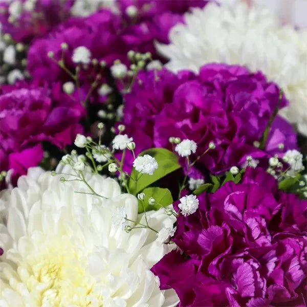 purple carnations bouquet with disbuds and gypsophila close up view 2