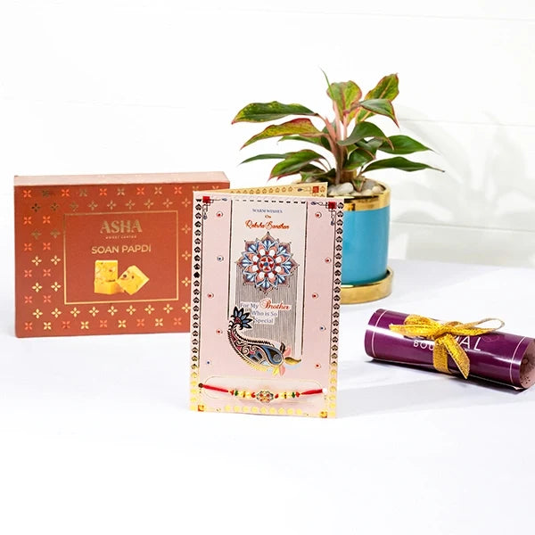 rakhi greeting card hamper with soan papdi aglaonema in blue ceramic pot front view