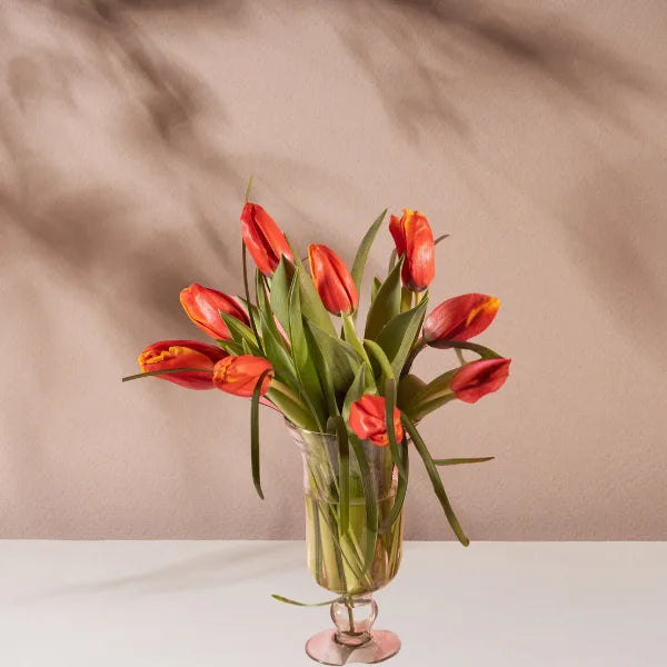 red 10 tulip flowers with glass vase