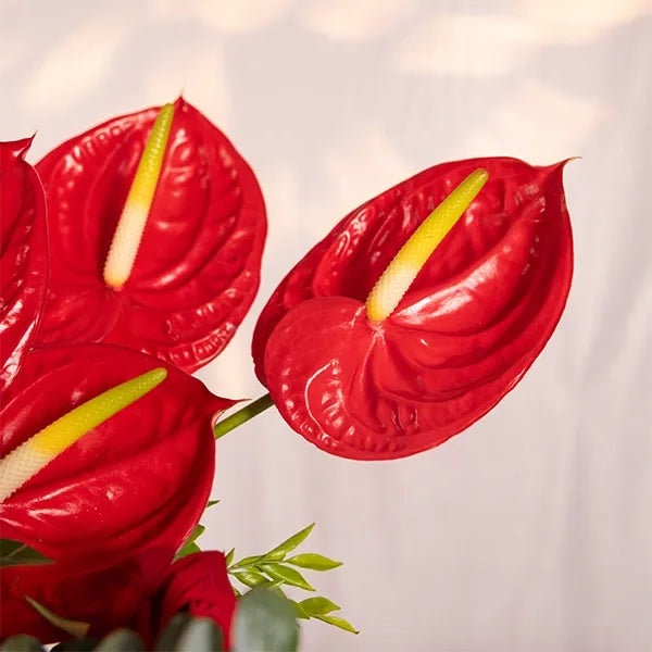 red roses and anthurium in a glass vase close up view 2