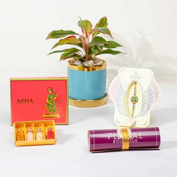 serene rakhi gift aqua divine rakhi asha mix sweets aglaonema plant front view
