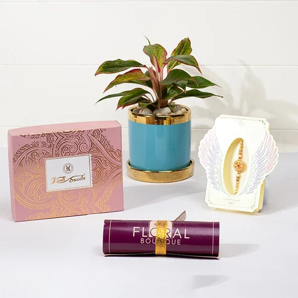 spiritual rakhi gift divine chakra rakhi kanti kaju katli aglaonema plant front view