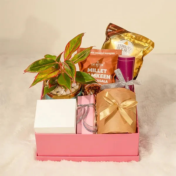 gift hamper of aglaonema pink diamond plant with eat better snacks and Perfume top view