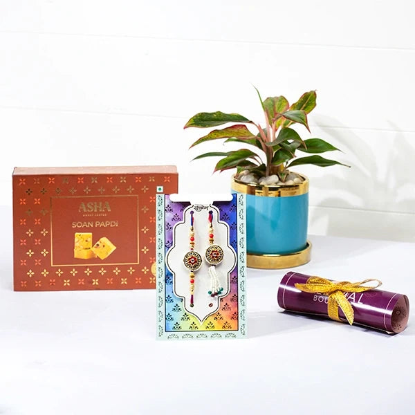 traditional rajasthani rakhi lumba hamper with soan papdi aglaonema in blue ceramic pot front view